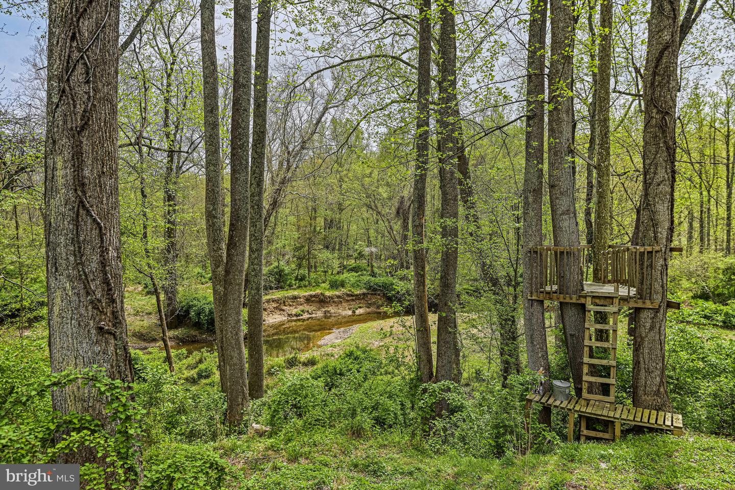 10409 Hunter Station Rd