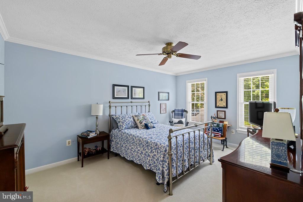 3005 Timber Wood Way