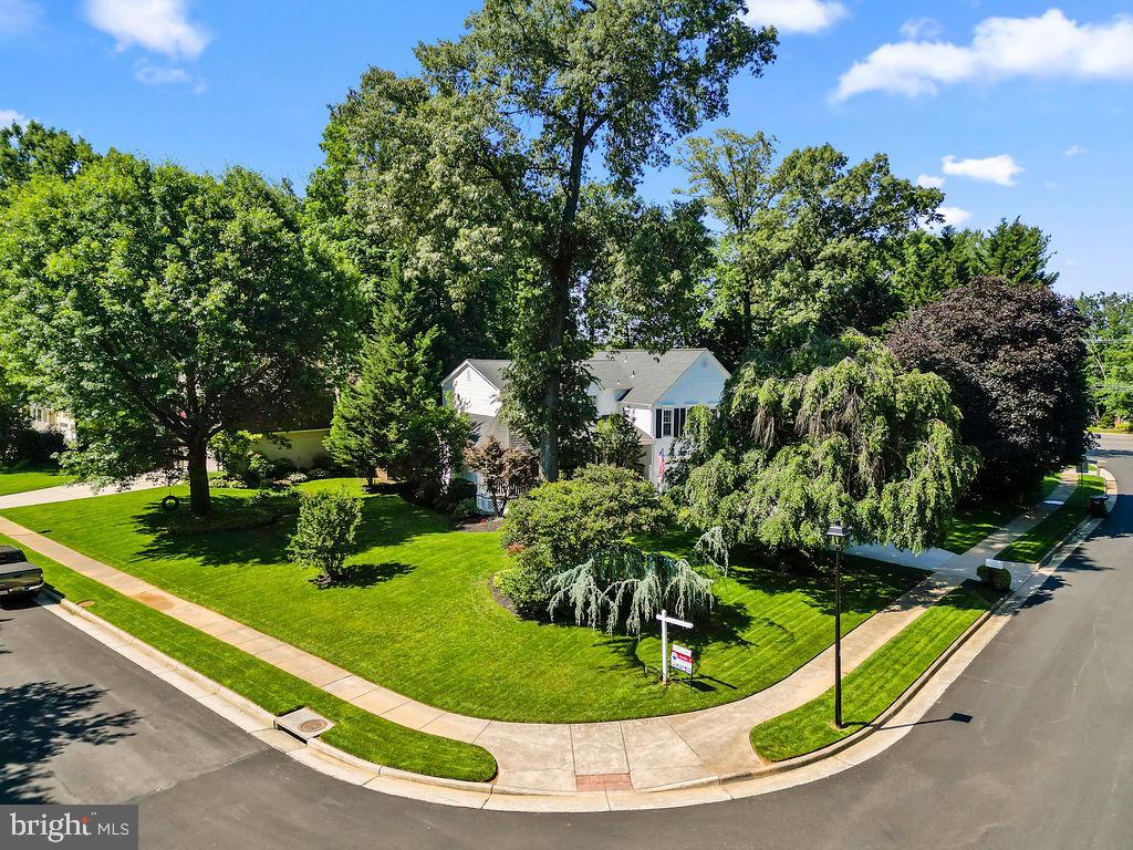 3005 Timber Wood Way