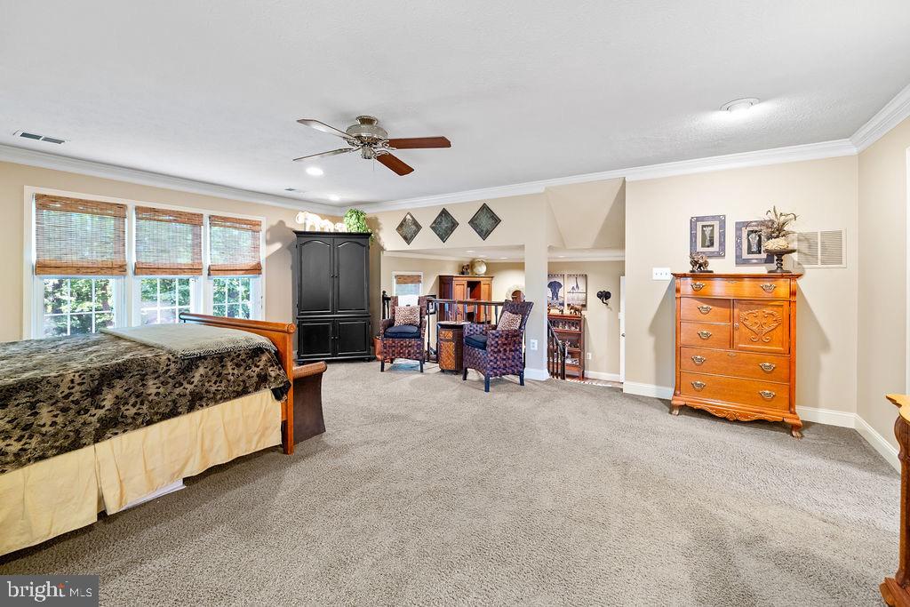 3005 Timber Wood Way