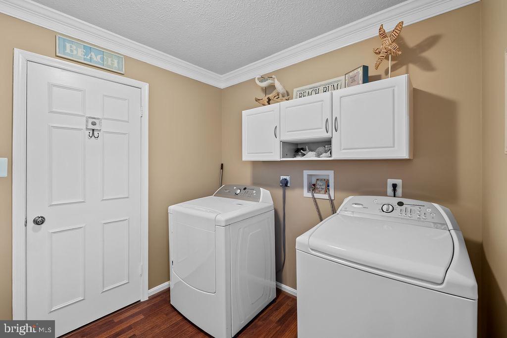 3005 Timber Wood Way