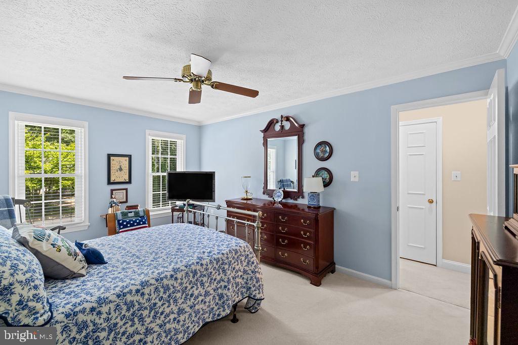 3005 Timber Wood Way