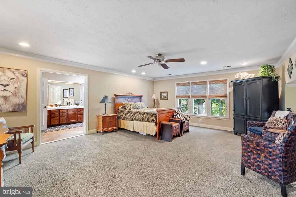 3005 Timber Wood Way