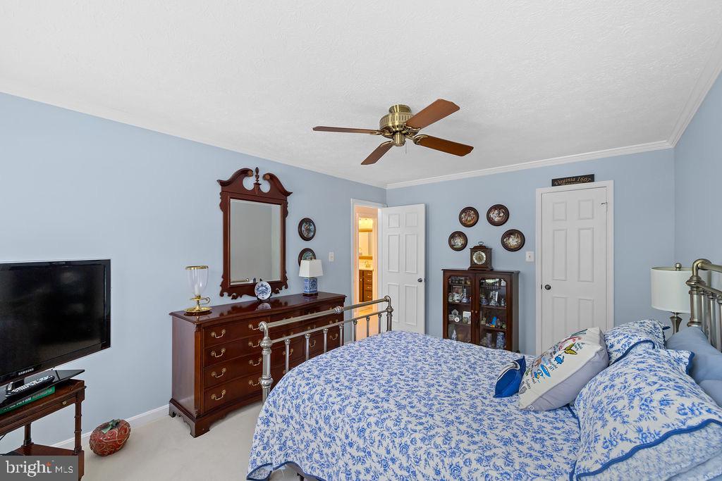 3005 Timber Wood Way