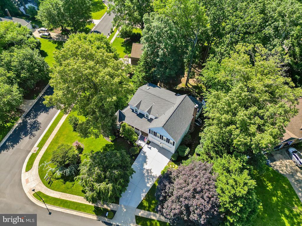 3005 Timber Wood Way