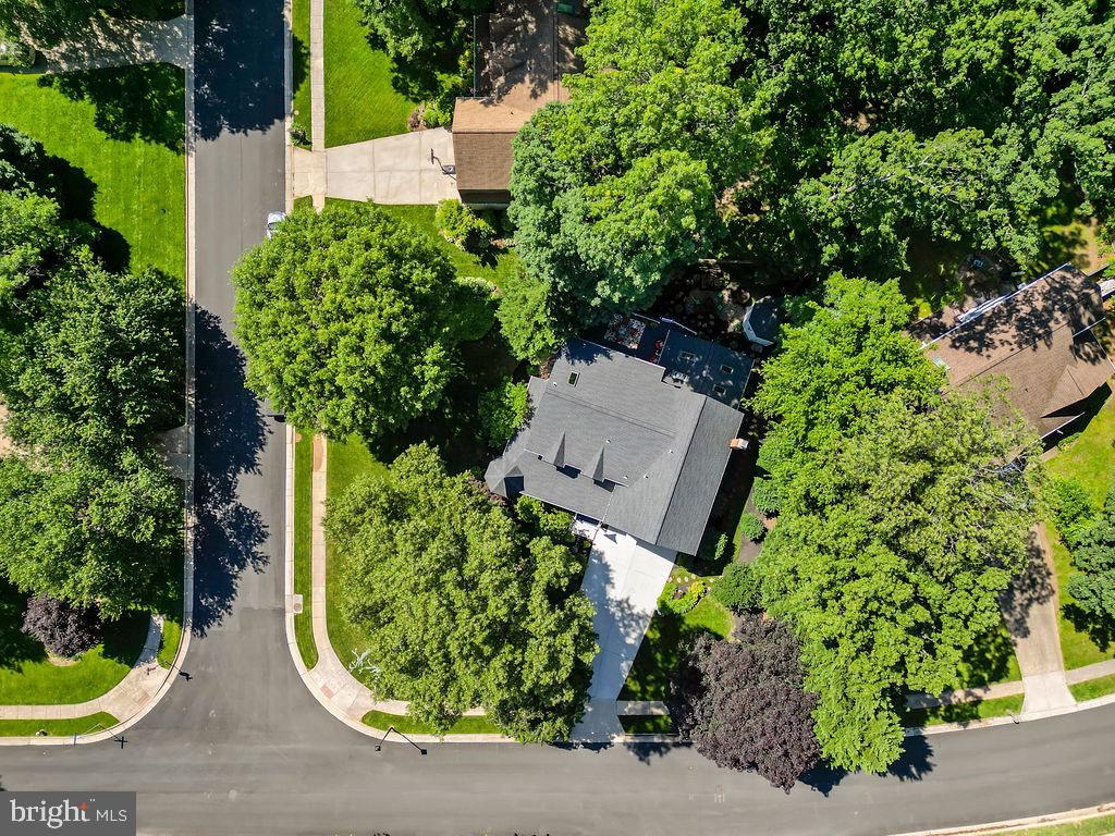 3005 Timber Wood Way
