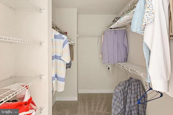 4502 JOSEPH BRISTOW LANE