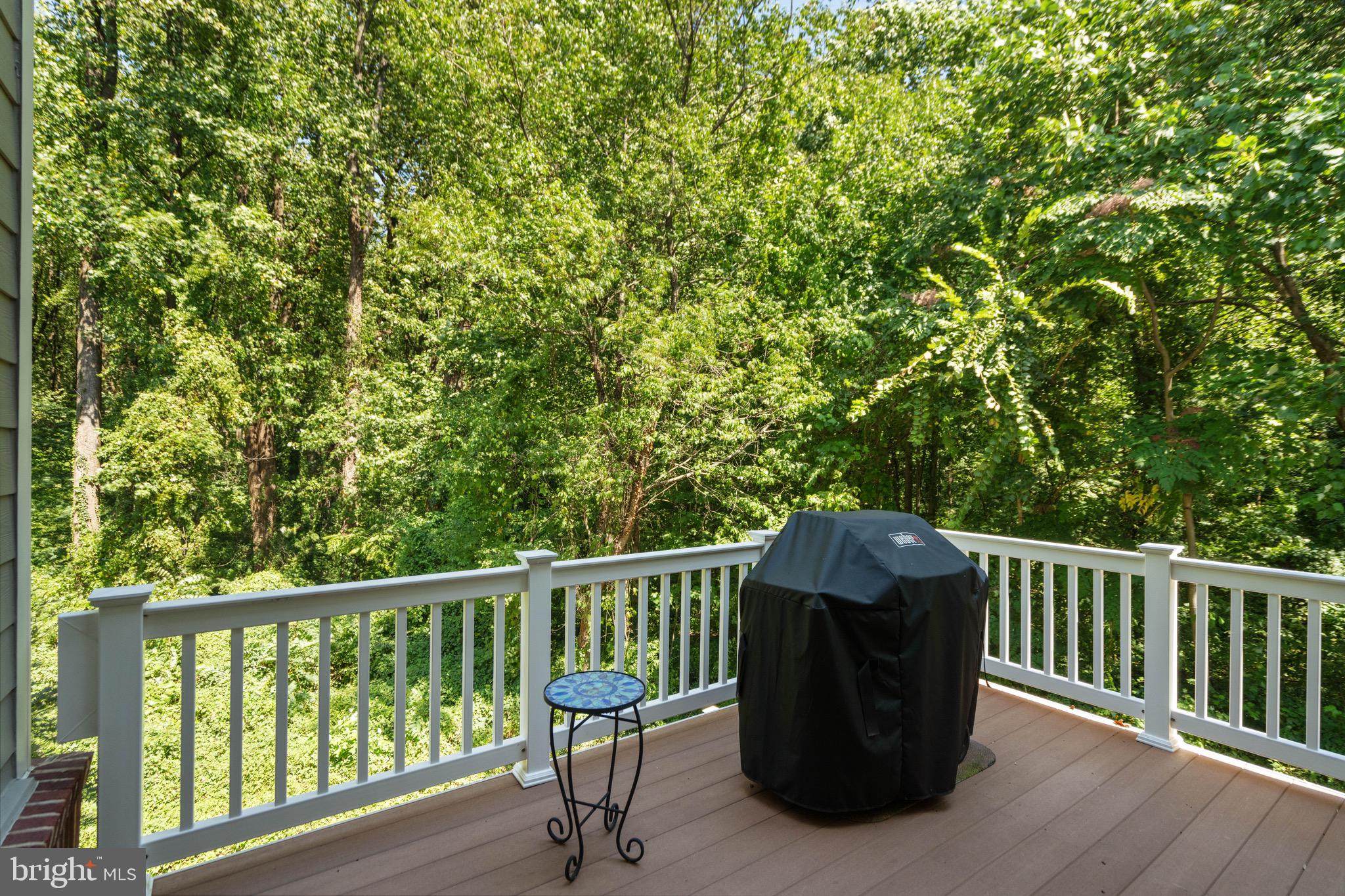 6726 DARRELLS GRANT PLACE