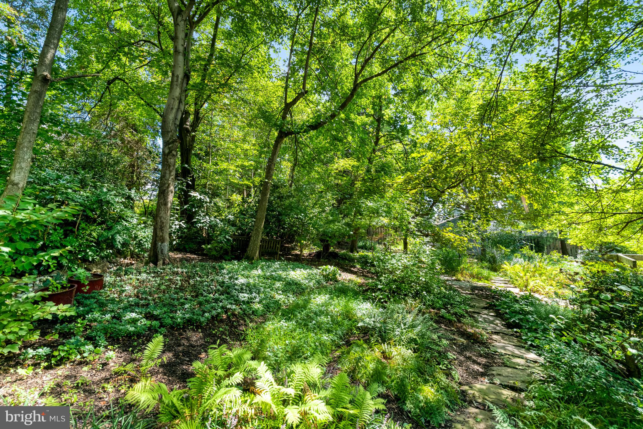 7107 ROXANN ROAD