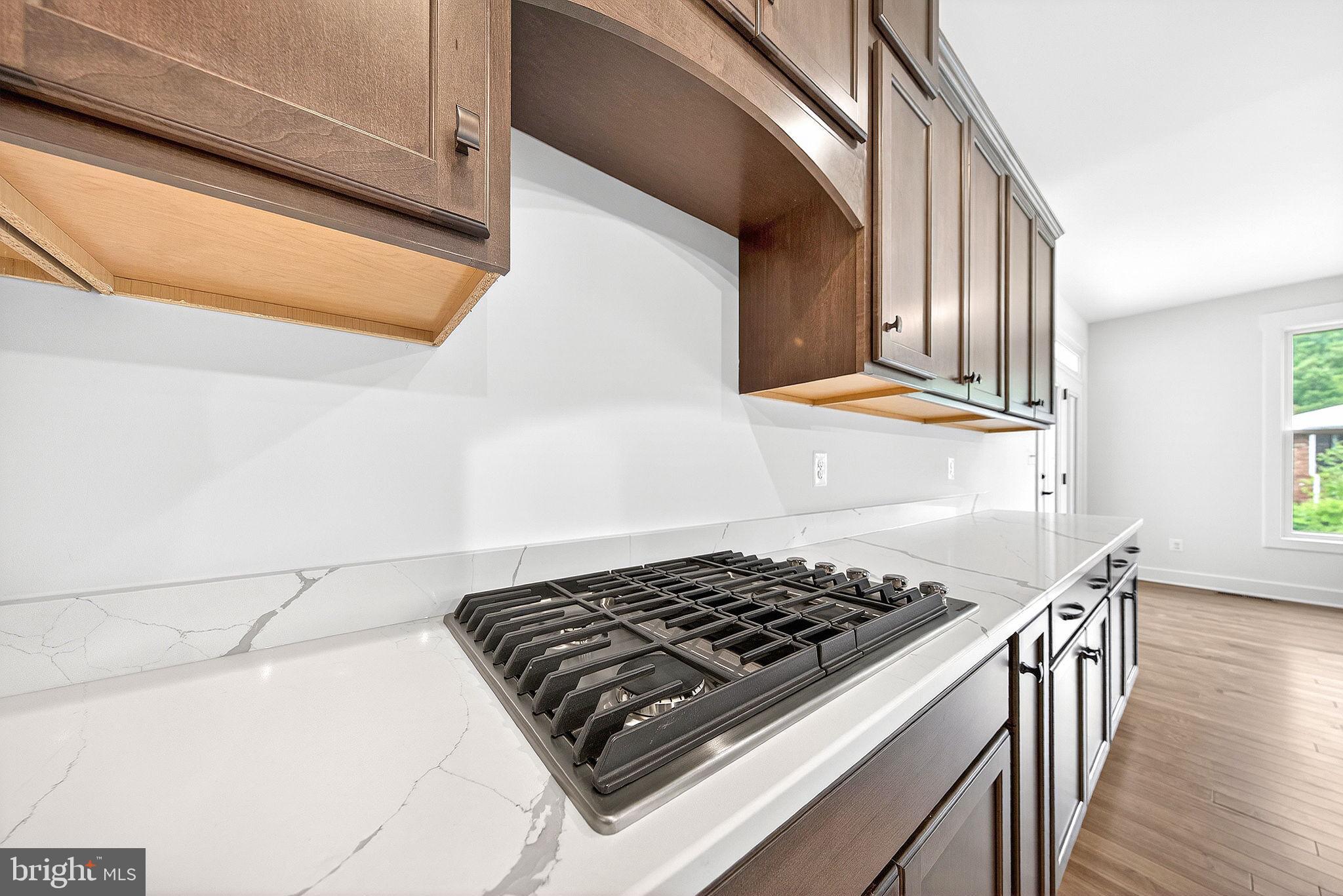 3913 VICTORIA OAKS TRAIL