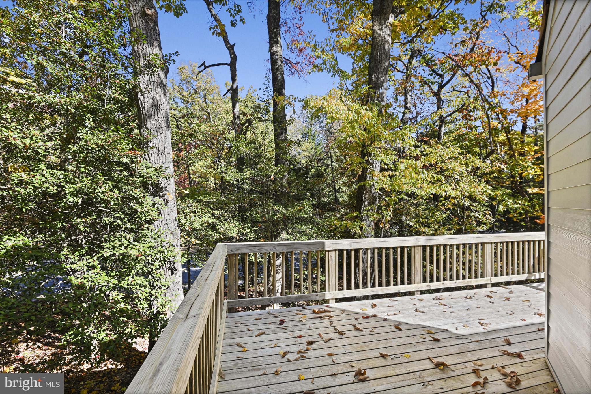 11504 TURNBRIDGE LANE
