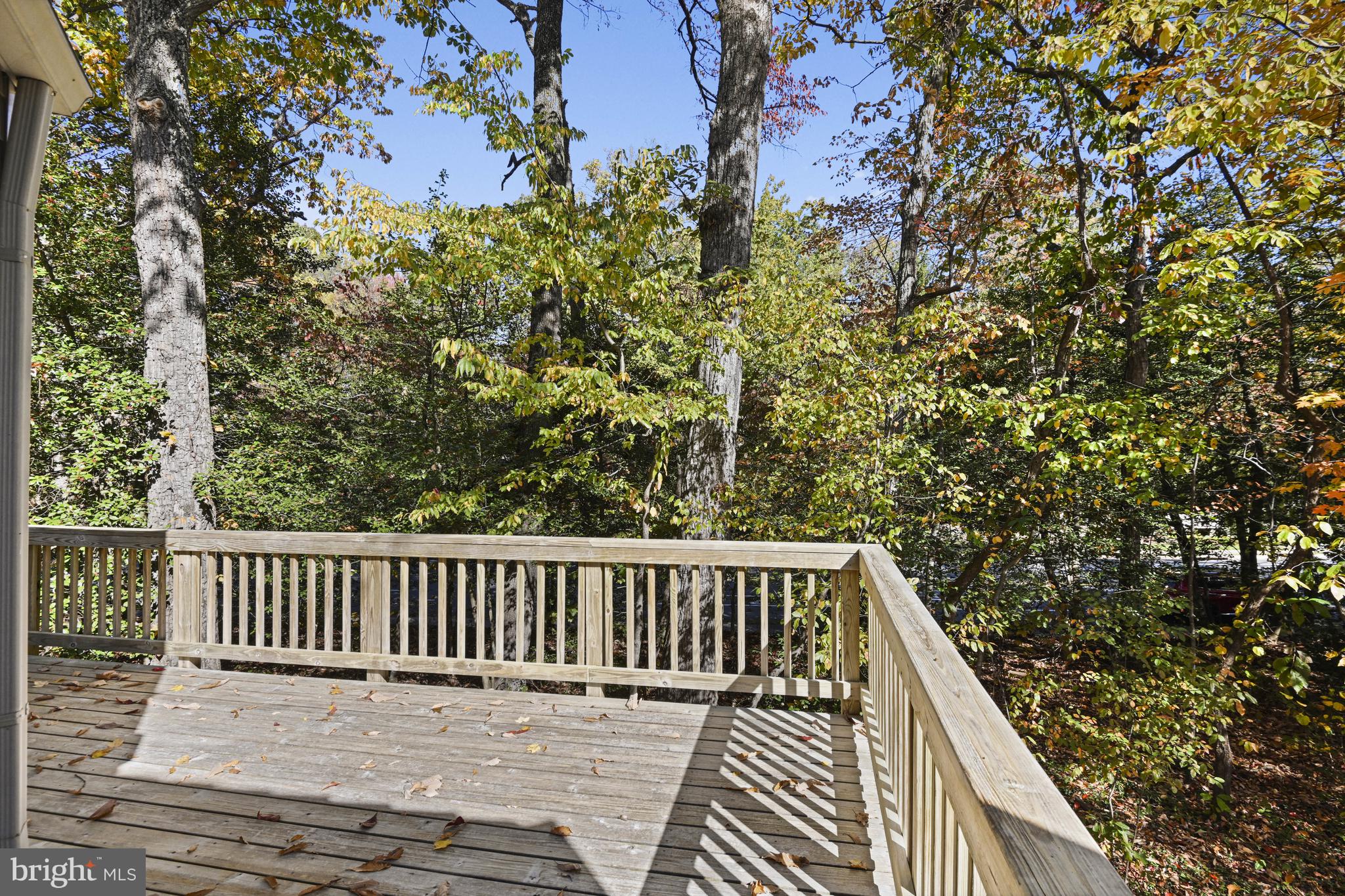 11504 TURNBRIDGE LANE