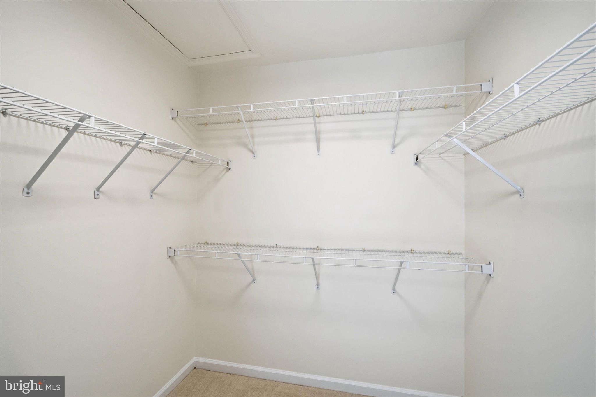 3116 WHITE DAISY PLACE