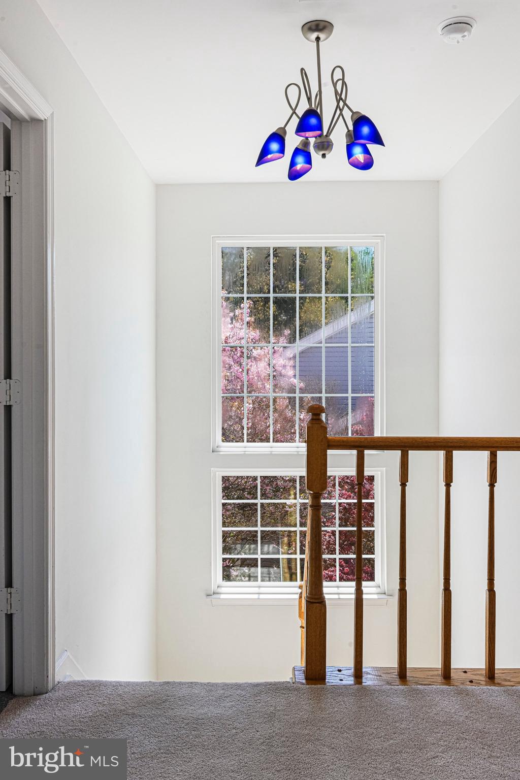 13481 LAKE SHORE DRIVE