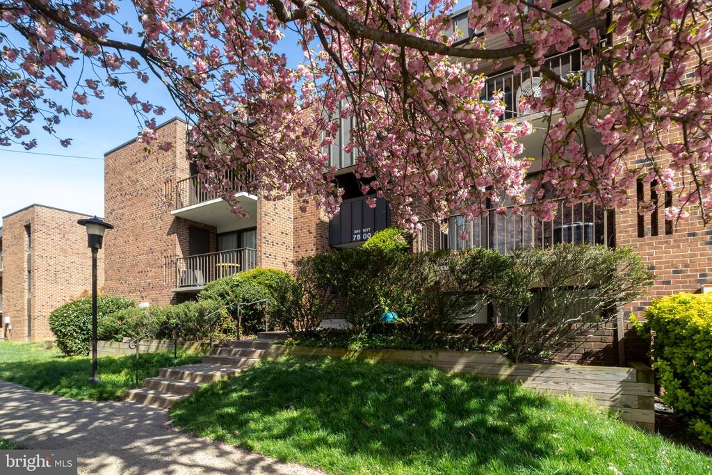 7800 DASSETT COURT 204