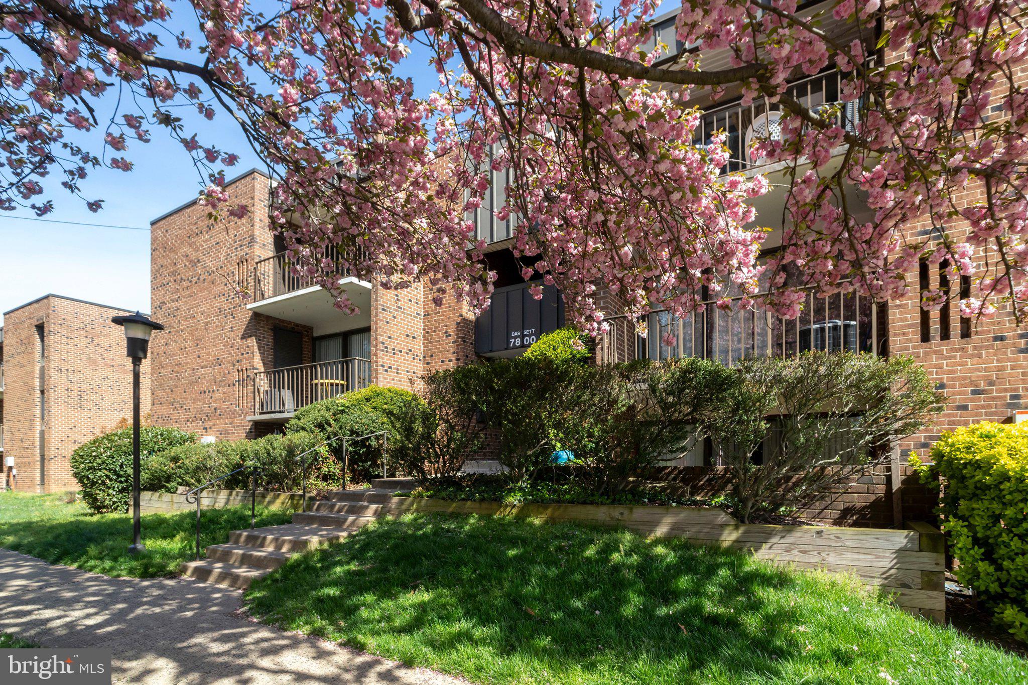 7800 DASSETT COURT 204