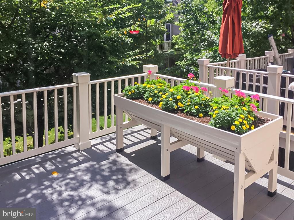 1916 LOGAN MANOR DRIVE