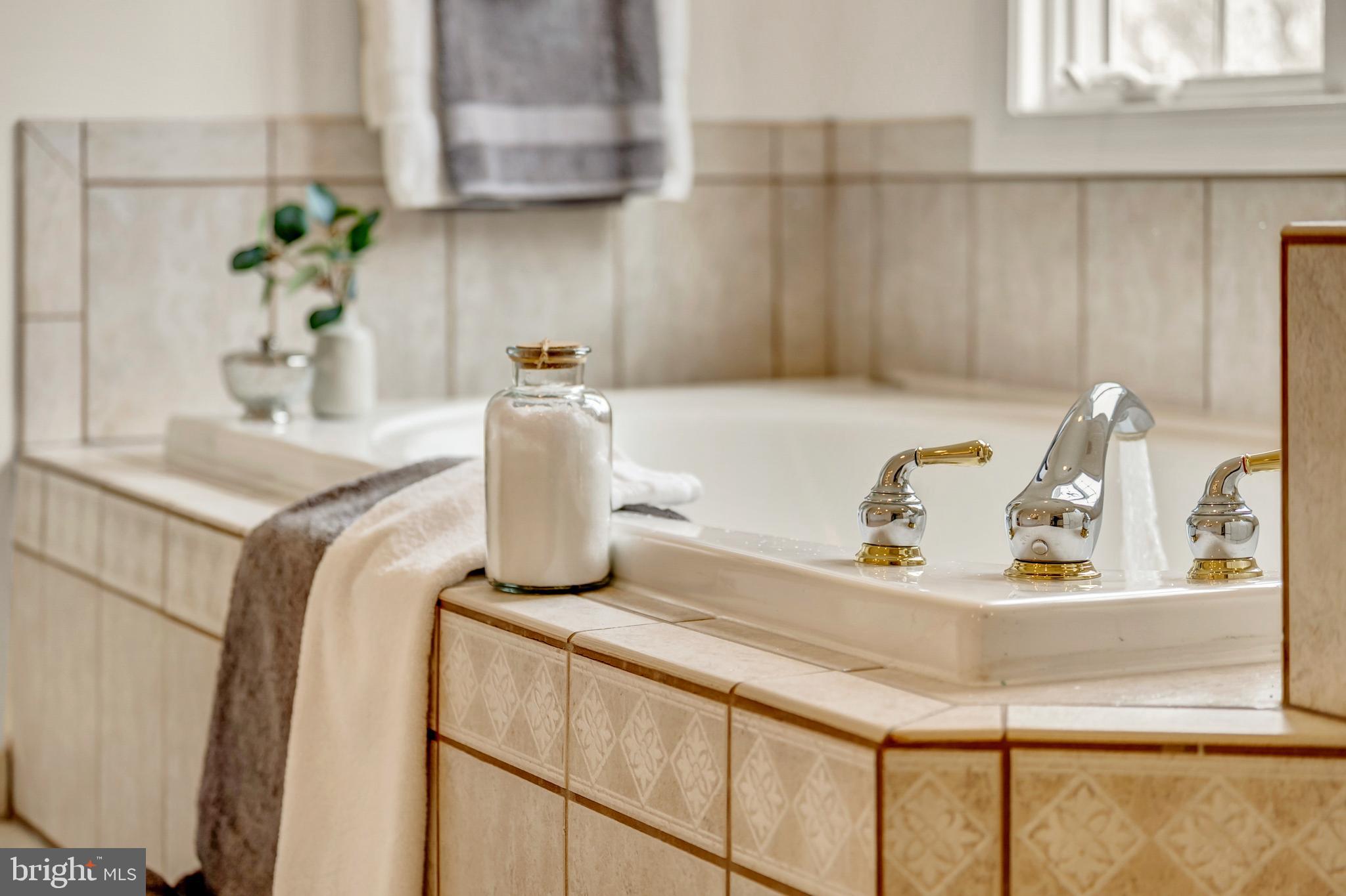 1096 LIBERTY MEETING COURT