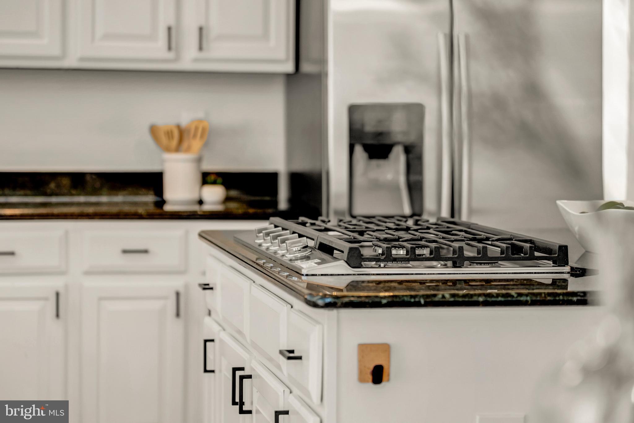 1096 LIBERTY MEETING COURT