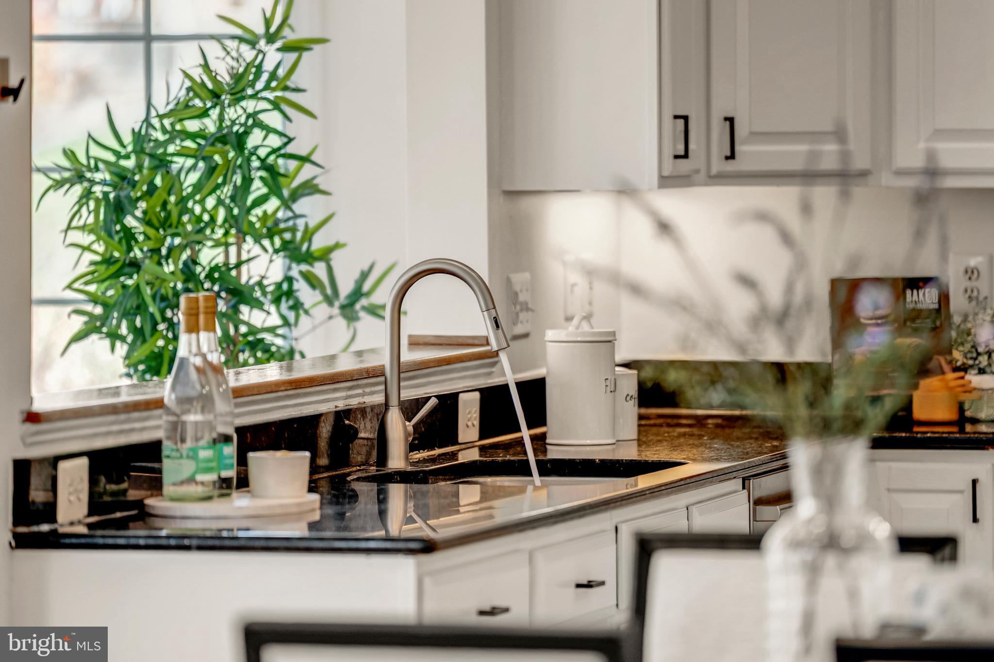 1096 LIBERTY MEETING COURT