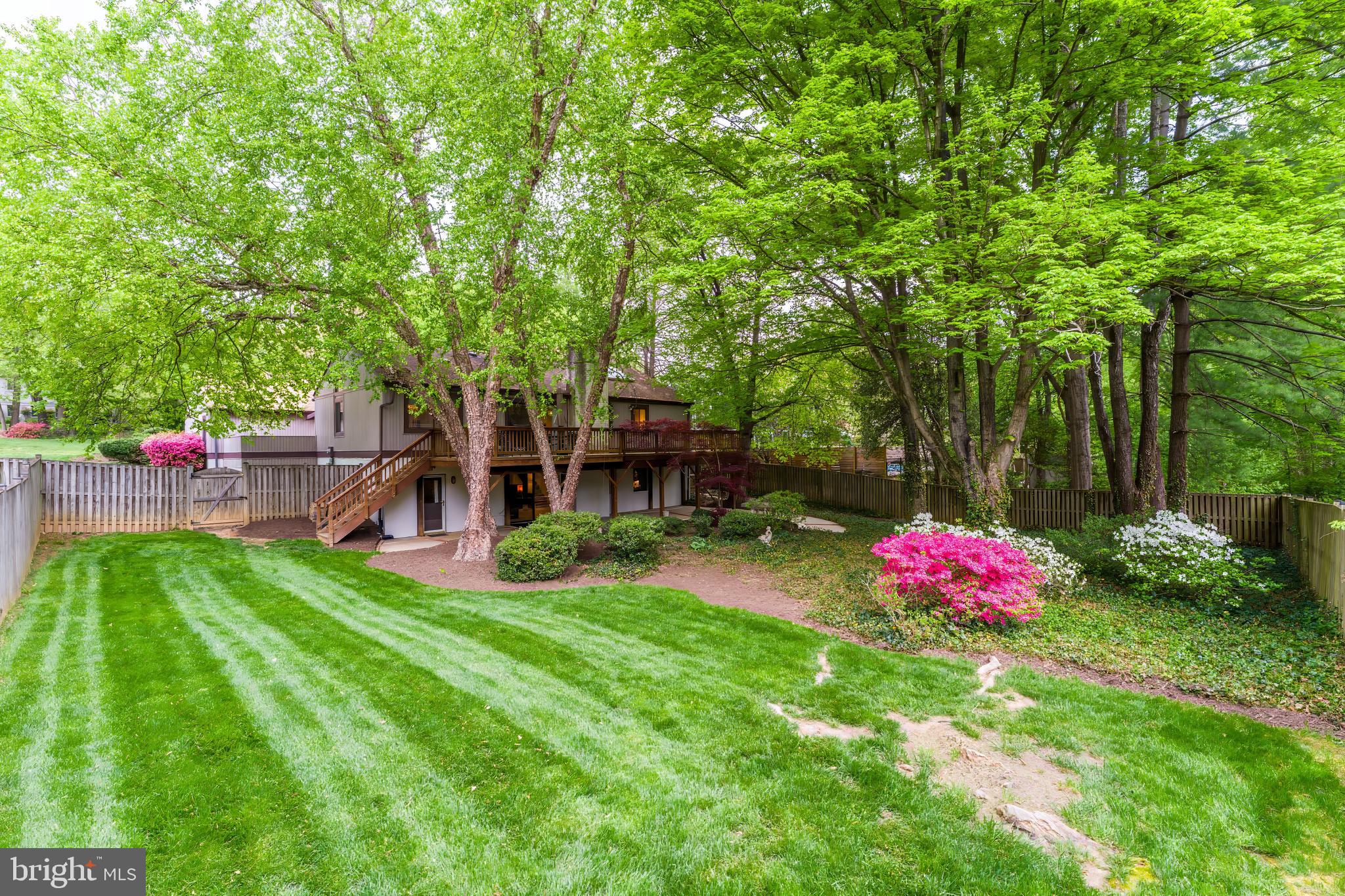 11819 BLUE SPRUCE ROAD