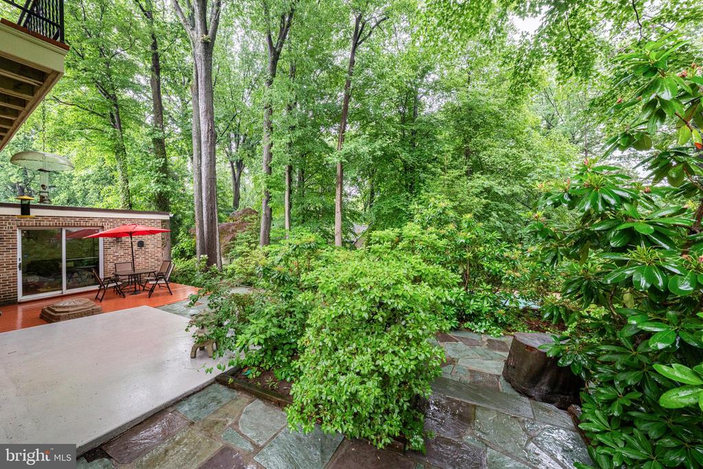 1502 HIGHWOOD DRIVE