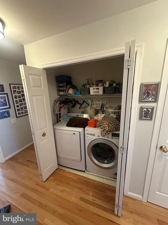 1163 CYPRESS TREE PLACE