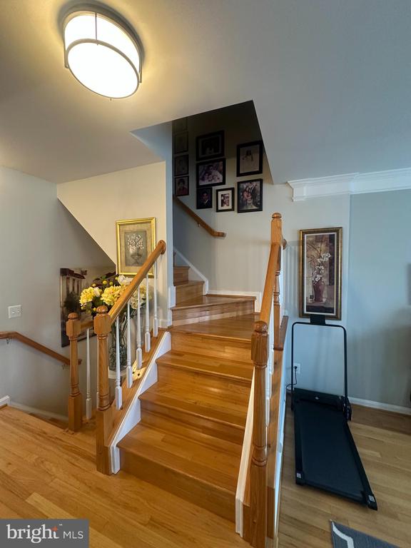 1163 CYPRESS TREE PLACE