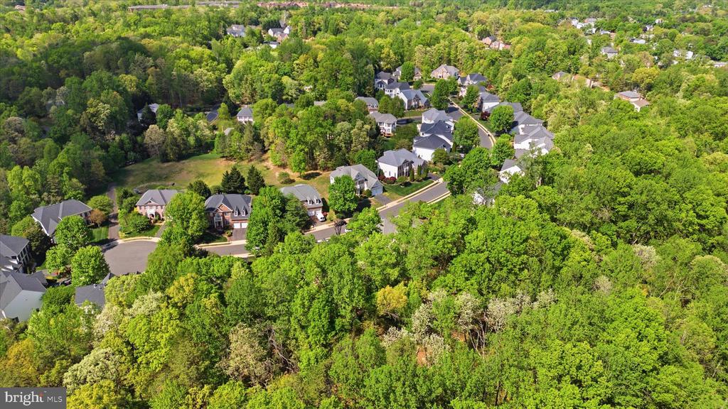 7323 LAUREL CREEK COURT