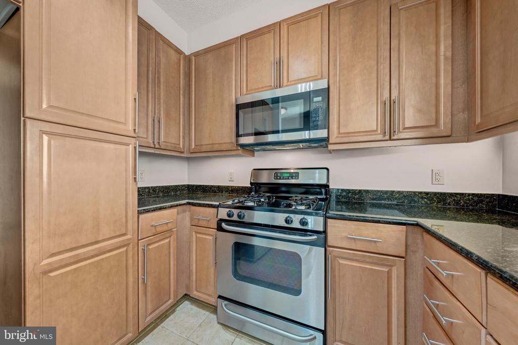 11760 SUNRISE VALLEY DRIVE 1008