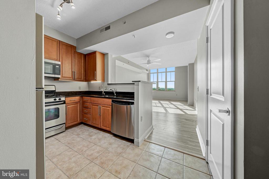 11760 SUNRISE VALLEY DRIVE 1008