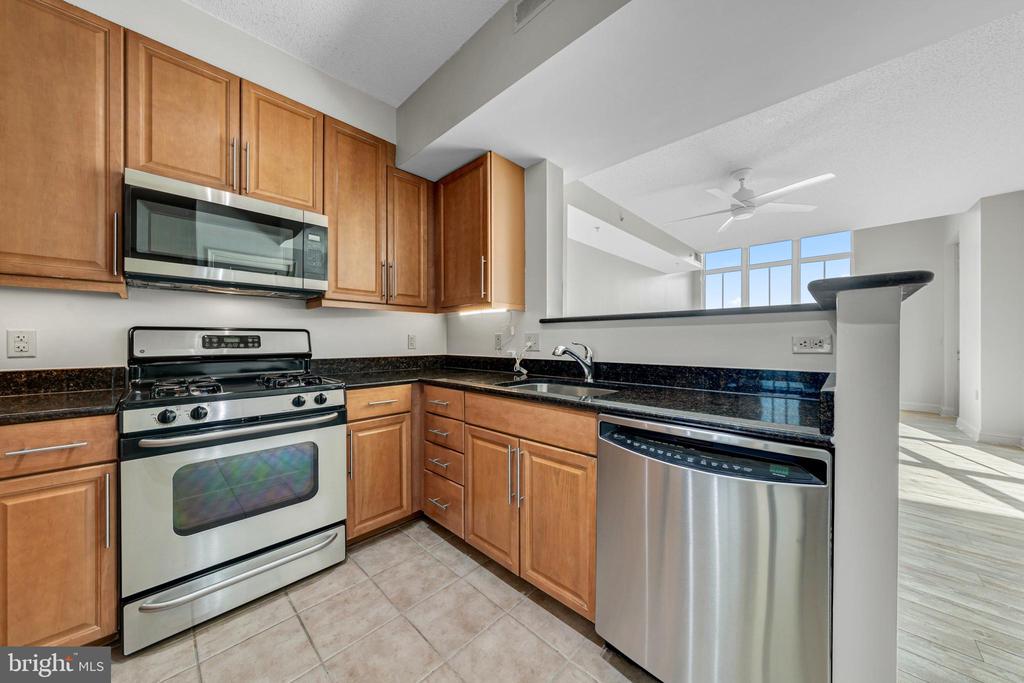 11760 SUNRISE VALLEY DRIVE 1008