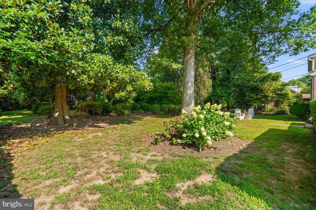 6422 BOULEVARD VIEW