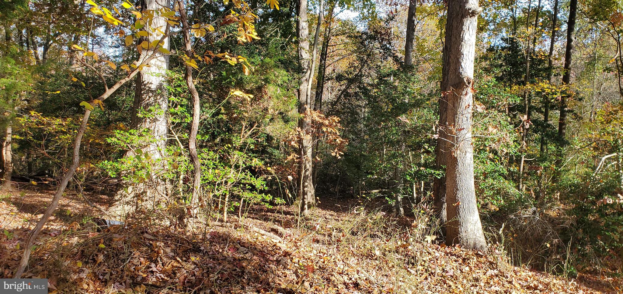 JAMES MADISON PARKWAY