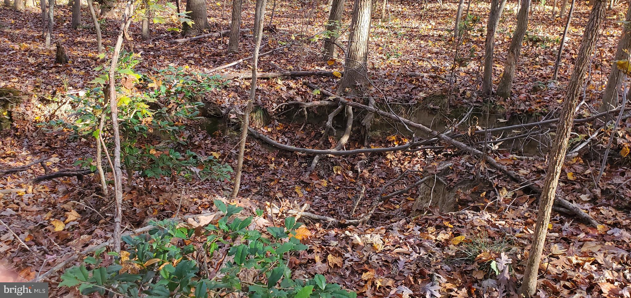 JAMES MADISON PARKWAY