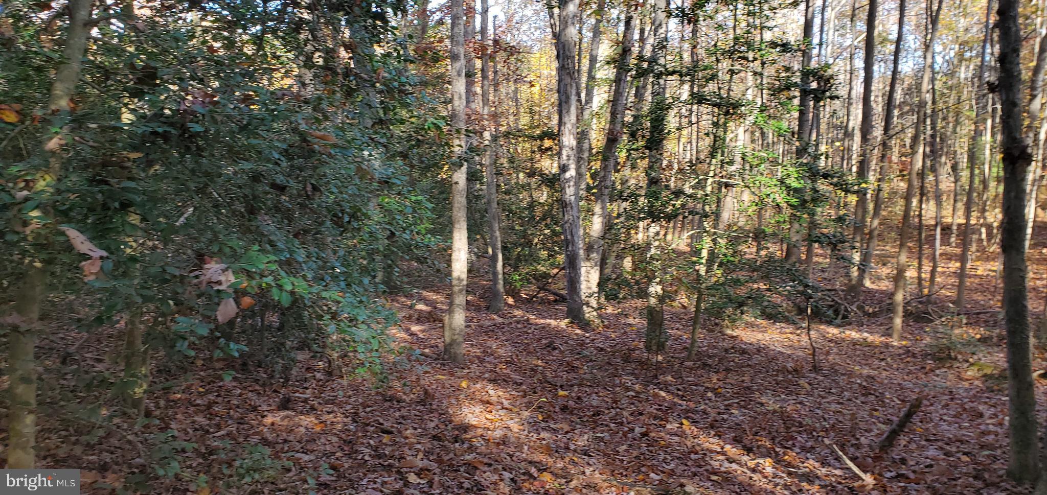 JAMES MADISON PARKWAY