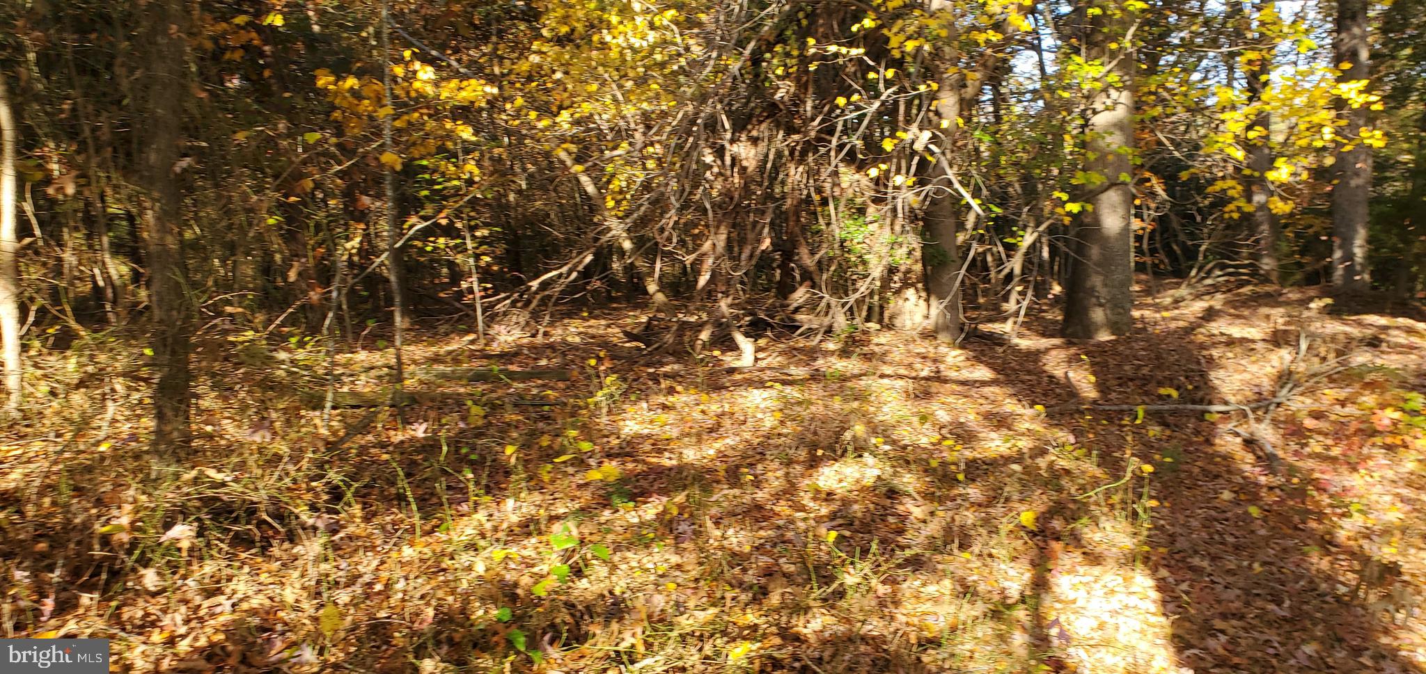 JAMES MADISON PARKWAY