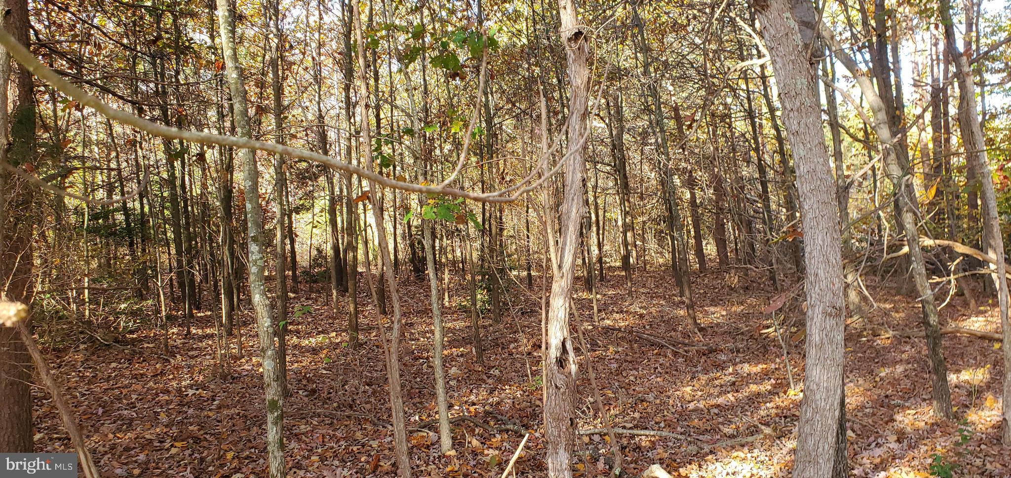 JAMES MADISON PARKWAY