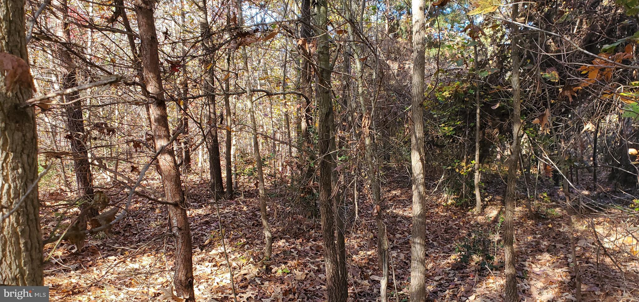 JAMES MADISON PARKWAY