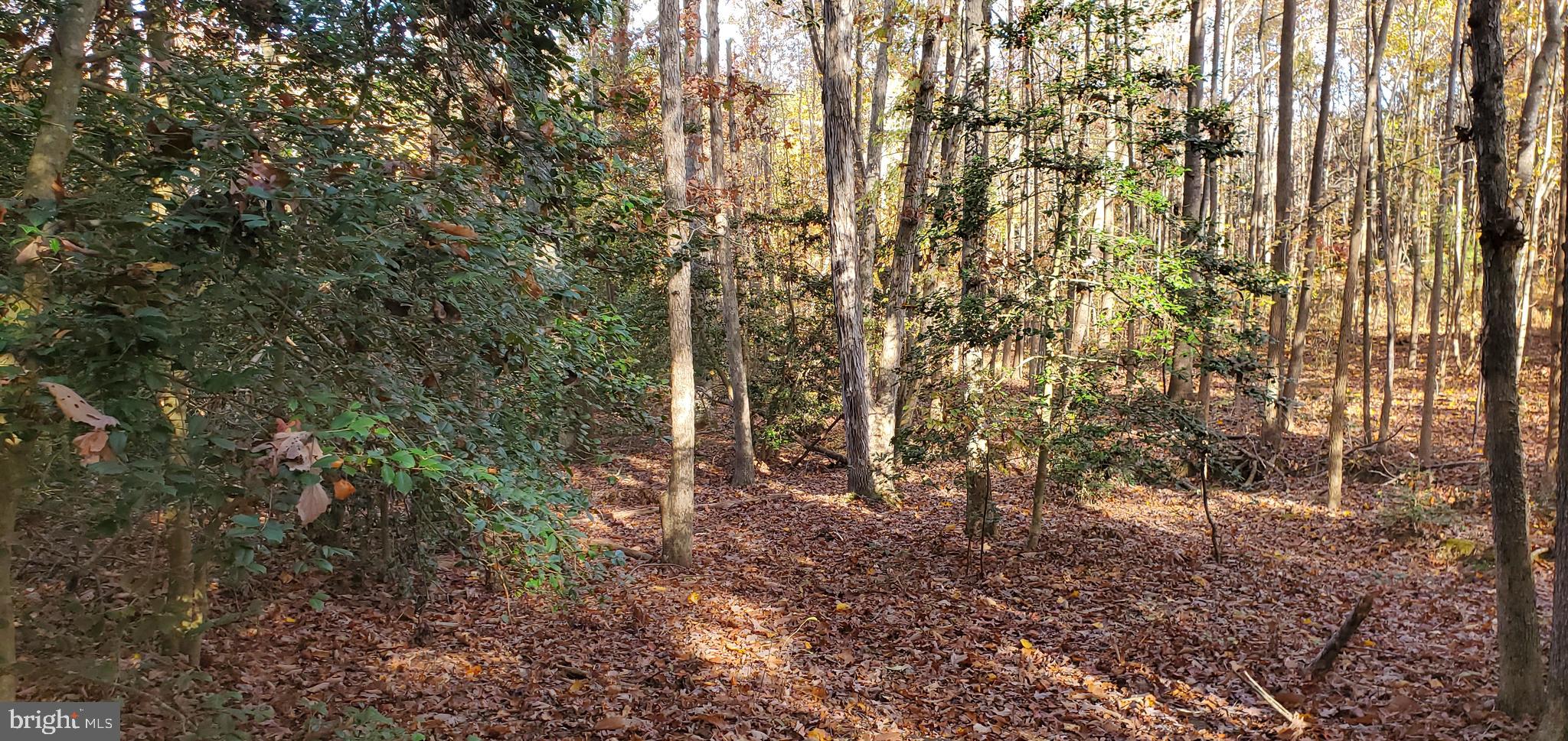 JAMES MADISON PARKWAY