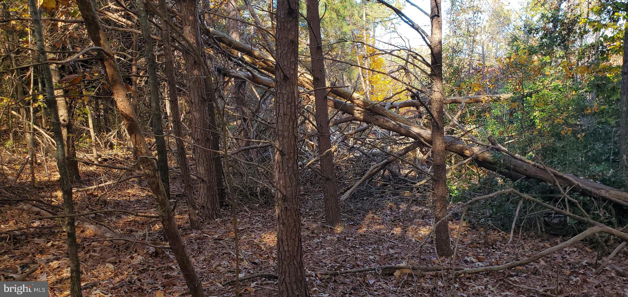 JAMES MADISON PARKWAY