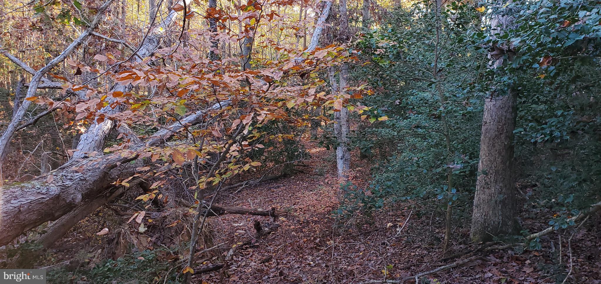 JAMES MADISON PARKWAY