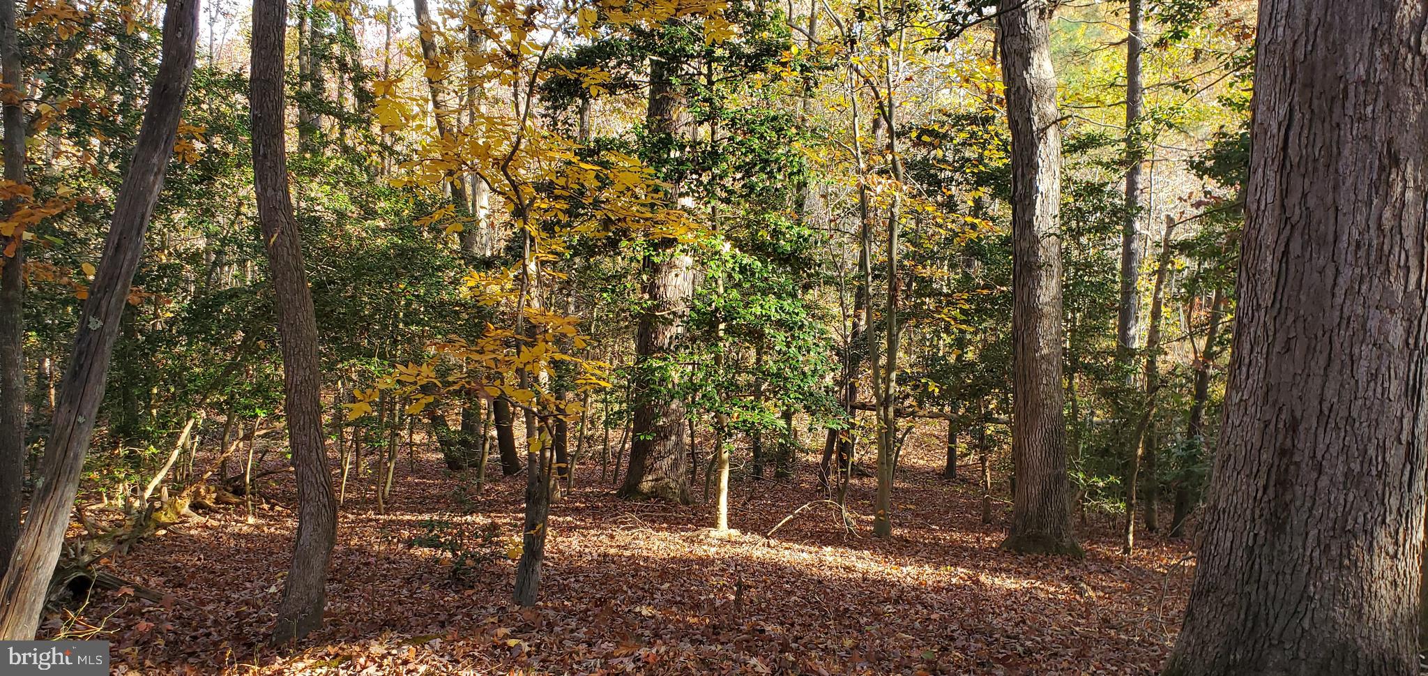 JAMES MADISON PARKWAY