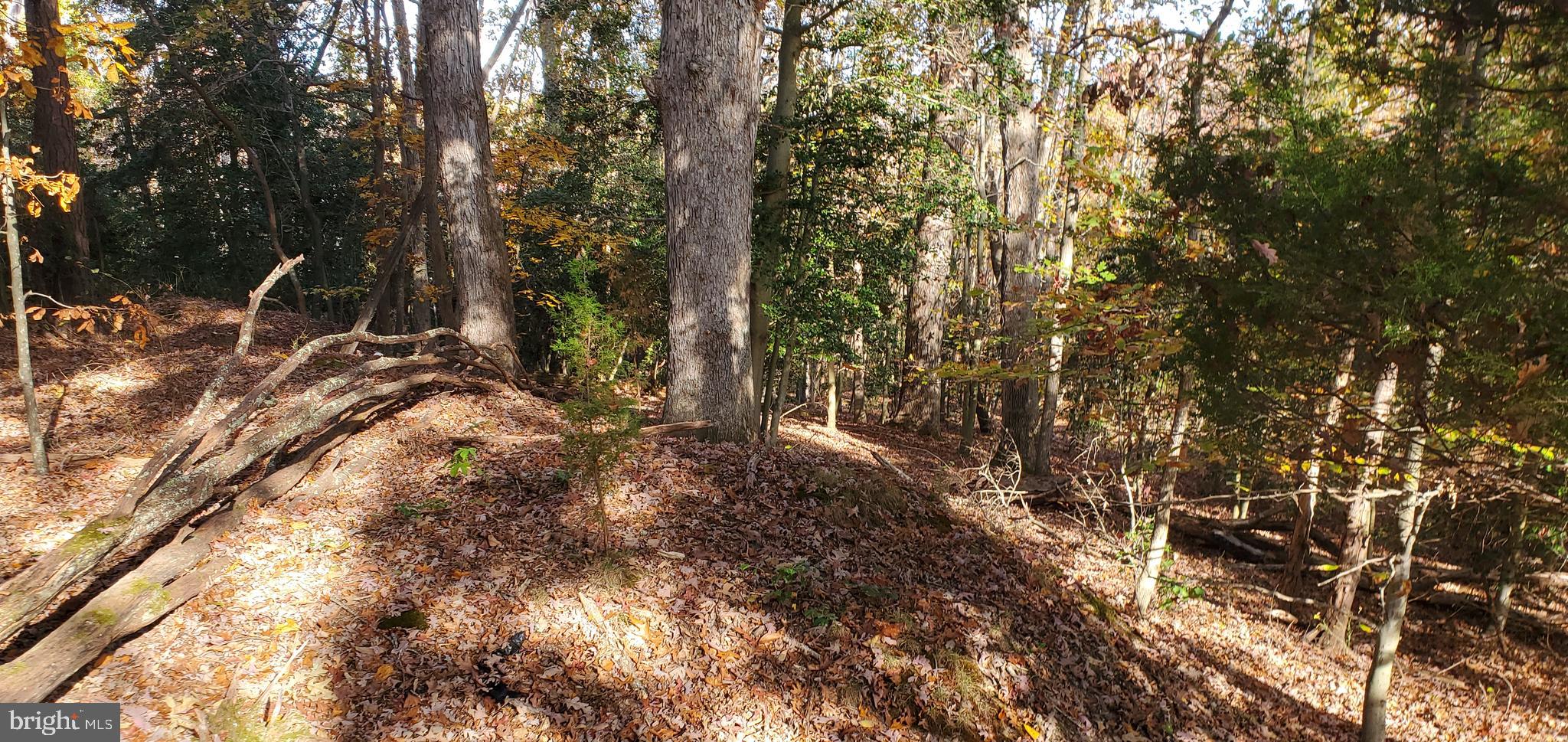 JAMES MADISON PARKWAY