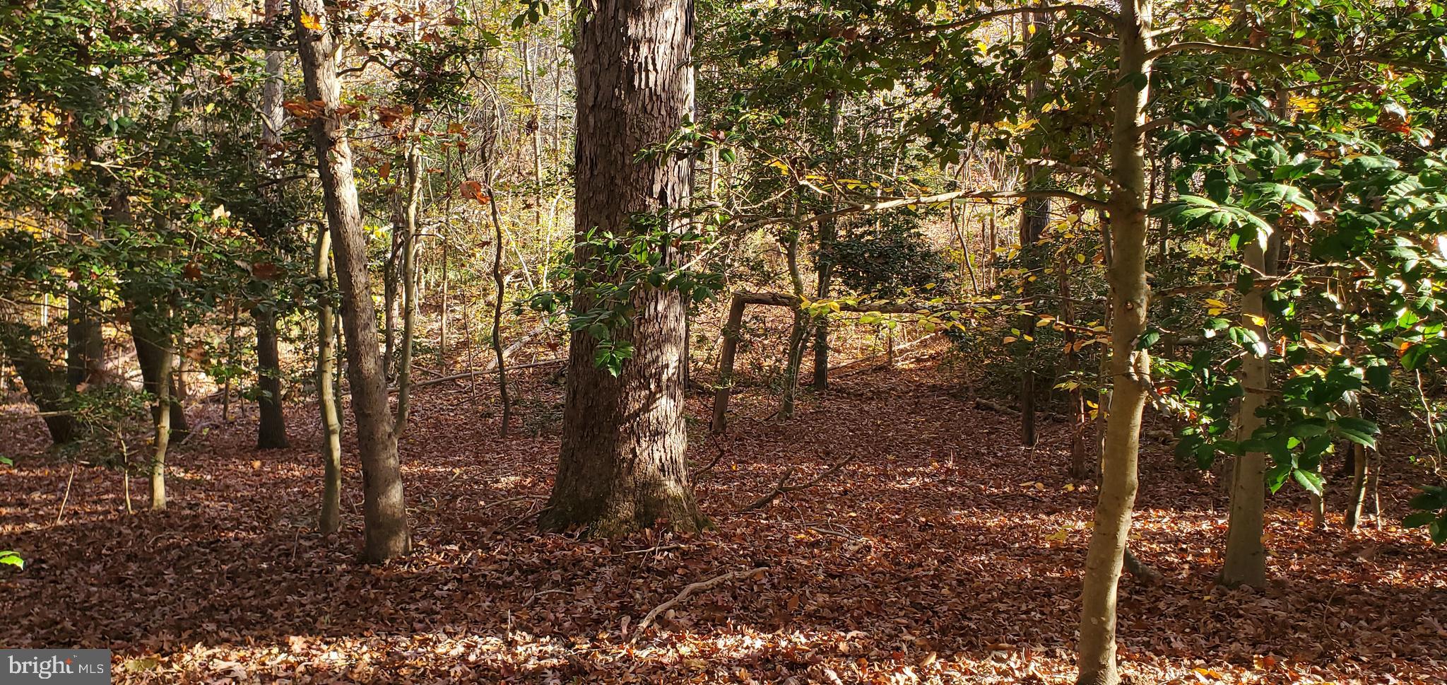 JAMES MADISON PARKWAY
