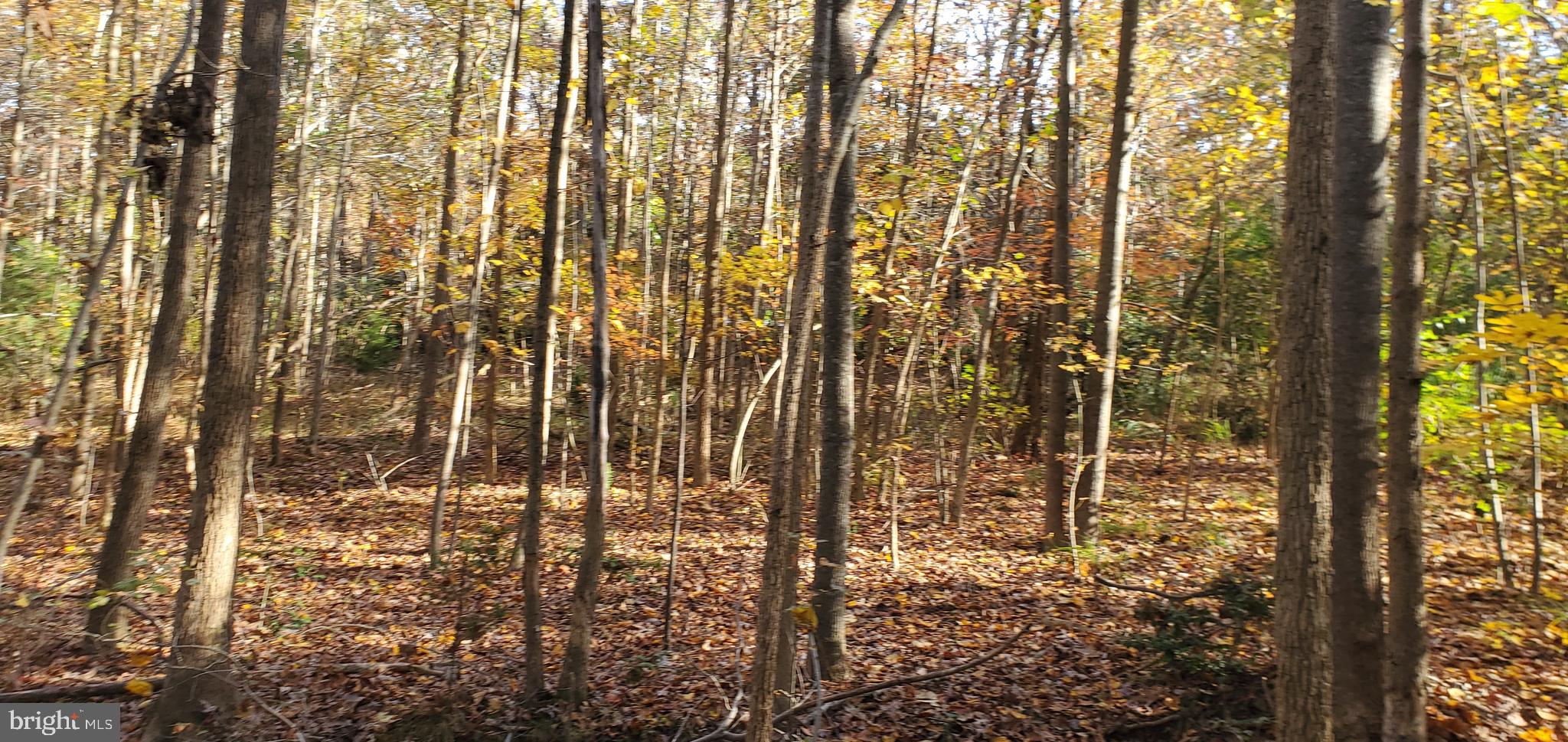 JAMES MADISON PARKWAY