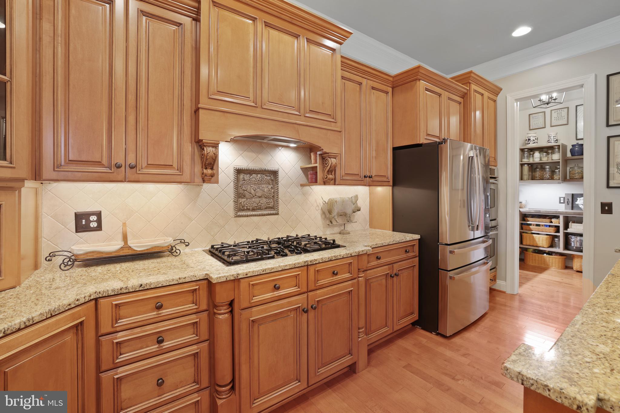 18896 Goose Bluff Ct