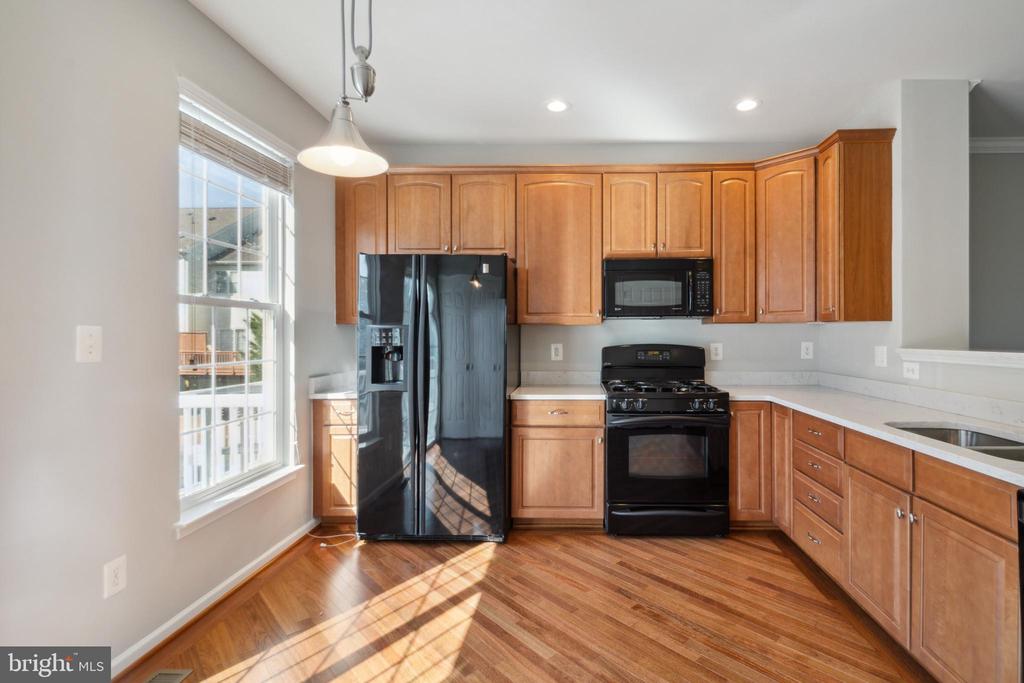 42762 LONGWORTH TER