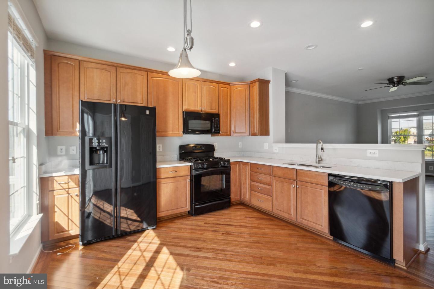 42762 LONGWORTH TER