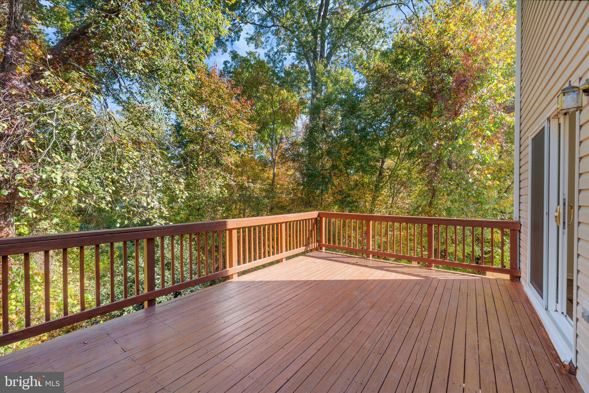 21566 Harvest Green Ter